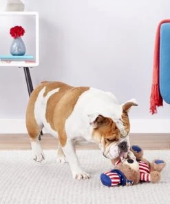 X-Frisco Plush Squeaking American Flag Bear Dog Toy, 2020 -Frisco Sales 2024 157187 PT2. SY630 V1559764047