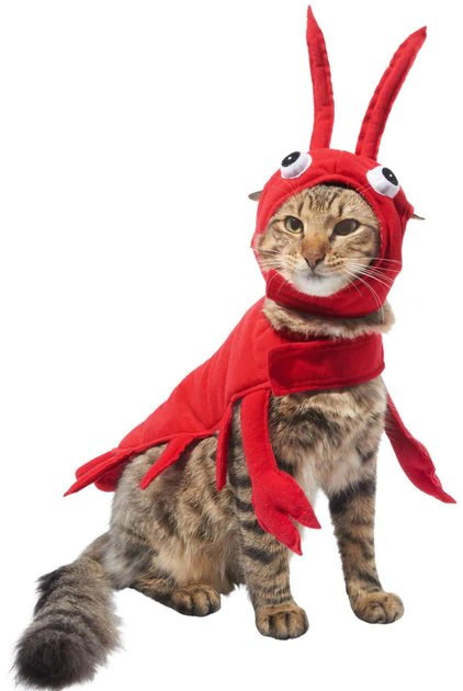 Frisco Red Lobster Dog & Cat Costume 3 Frisco Red Lobster Dog & Cat Costume