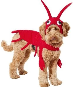 Frisco Red Lobster Dog & Cat Costume 11 Frisco Red Lobster Dog & Cat Costume -Frisco Sales 2024 158722 PT2. SY630 V1659023725