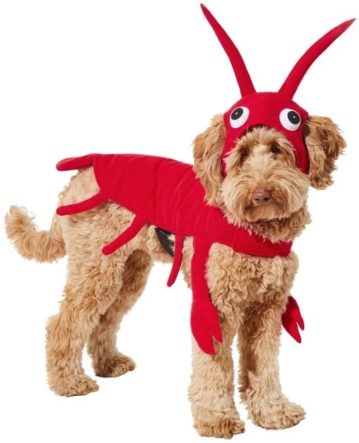 Frisco Red Lobster Dog & Cat Costume 5 Frisco Red Lobster Dog & Cat Costume - Image 3