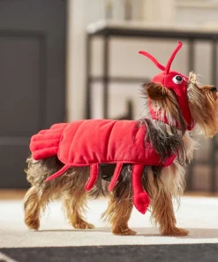 Frisco Red Lobster Dog & Cat Costume 14 Frisco Red Lobster Dog & Cat Costume -Frisco Sales 2024 158722 PT6. SY630 V1659023722