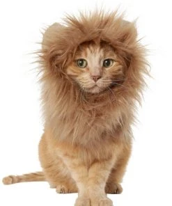 Frisco Lion Mane Dog & Cat Costume