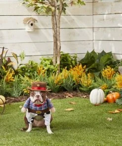 Frisco Front Walking Cowboy Dog & Cat Costume 12 Frisco Front Walking Cowboy Dog & Cat Costume -Frisco Sales 2024 158837 PT3. SY630 V1567176011