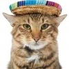 Frisco Dog & Cat Sombrero Hat