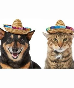Frisco Dog & Cat Sombrero Hat -Frisco Sales 2024 158881 PT2. SY630 V1625076485