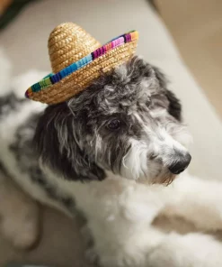 Frisco Dog & Cat Sombrero Hat -Frisco Sales 2024 158881 PT8. SY630 V1624553158