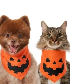 Frisco Jack O' Lantern Pumpkin Dog & Cat Hoodie