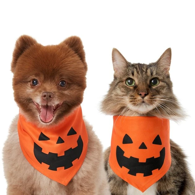 Frisco Jack O' Lantern Pumpkin Dog & Cat Hoodie 3 Frisco Jack O' Lantern Pumpkin Dog & Cat Hoodie