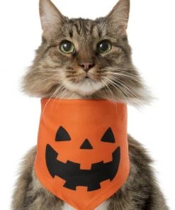 Frisco Jack O' Lantern Pumpkin Dog & Cat Hoodie 13 Frisco Jack O' Lantern Pumpkin Dog & Cat Hoodie -Frisco Sales 2024 158886 PT2. SY630 V1637668889