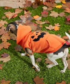 Frisco Jack O' Lantern Pumpkin Dog & Cat Hoodie 19 Frisco Jack O' Lantern Pumpkin Dog & Cat Hoodie -Frisco Sales 2024 158886 PT8. SY630 V1599140774