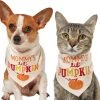 Frisco Mommy's Lil Pumpkin Dog & Cat Bandana -Frisco Sales 2024 158936 MAIN. SY630 V1633068697