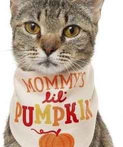 Frisco Mommy's Lil Pumpkin Dog & Cat Bandana -Frisco Sales 2024 158936 PT2. SY630 V1633073776
