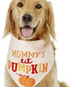 Frisco Mommy's Lil Pumpkin Dog & Cat Bandana -Frisco Sales 2024 158936 PT3. SY630 V1633078003