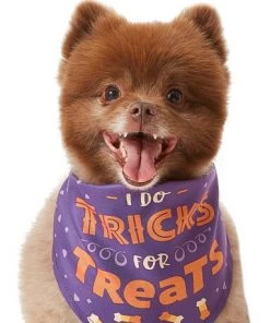 Frisco I Do Tricks For Treats Dog & Cat Bandana