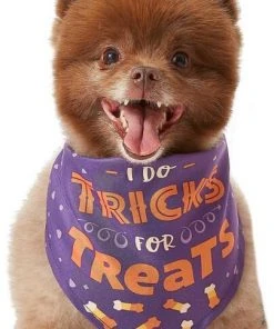 Frisco I Do Tricks For Treats Dog & Cat Bandana -Frisco Sales 2024 158938 PT3. SY630 V1633075903