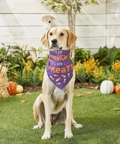 Frisco I Do Tricks For Treats Dog & Cat Bandana -Frisco Sales 2024 158938 PT4. SY630 V1633069923