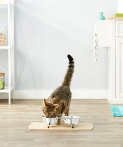 Frisco Non-Skid Elevated Dog & Cat Diner -Frisco Sales 2024 159881 PT4. SY630 V1561123082