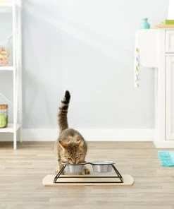 Frisco Pyramid Elevated Dog & Cat Diner -Frisco Sales 2024 159883 PT4. SY630 V1561123329