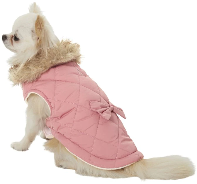 Frisco Aspen Insulated Quilted Dog & Cat Jacket with Bow 3 Frisco Aspen Insulated Quilted Dog & Cat Jacket with Bow