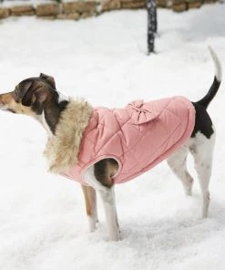 Frisco Aspen Insulated Quilted Dog & Cat Jacket with Bow 15 Frisco Aspen Insulated Quilted Dog & Cat Jacket with Bow -Frisco Sales 2024 160285 PT6. SY630 V1567617783