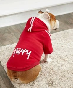 Frisco Püppy Dog & Cat Athletic Hoodie -Frisco Sales 2024 160339 PT6. SY630 V1637668622