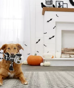 Frisco Halloween Skeleton Plush with Rope Squeaky Dog Toy 9 Frisco Halloween Skeleton Plush with Rope Squeaky Dog Toy -Frisco Sales 2024 161358 PT2. SY630 V1563230245