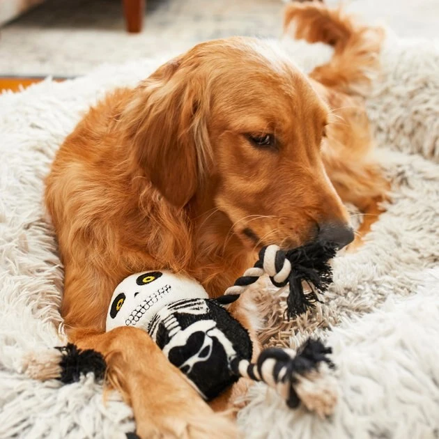 Frisco Halloween Skeleton Plush with Rope Squeaky Dog Toy 6 Frisco Halloween Skeleton Plush with Rope Squeaky Dog Toy - Image 4