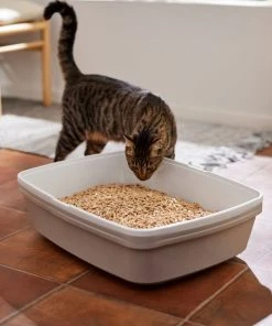 Frisco Pine Pellet Unscented Non-Clumping Wood Cat Litter -Frisco Sales 2024 161458 PT4. SY630 V1659023182