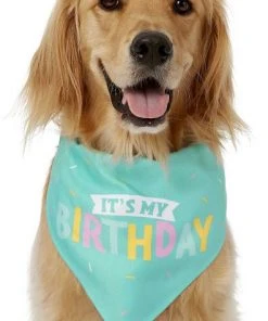 Frisco Dog & Cat Birthday Bandana -Frisco Sales 2024 162803 PT2. SY630 V1633086083