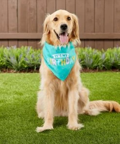 Frisco Dog & Cat Birthday Bandana -Frisco Sales 2024 162803 PT5. SY630 V1568147526