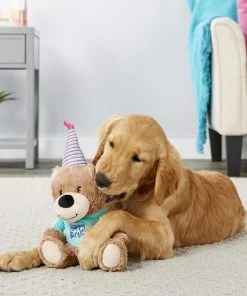 Frisco Plush Birthday Bear with Striped Hat Dog Toy -Frisco Sales 2024 162836 PT2. SY630 V1565379430