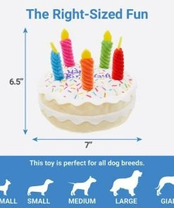 Frisco Plush Squeaking Birthday Cake Dog Toy -Frisco Sales 2024 162839 PT1. SY630 V1568207219