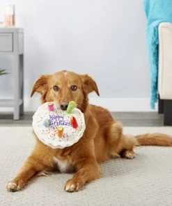 Frisco Plush Squeaking Birthday Cake Dog Toy -Frisco Sales 2024 162839 PT3. SY630 V1565379491
