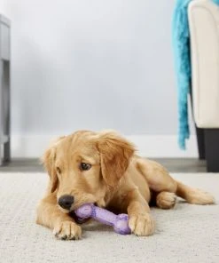 Frisco Birthday TPR Bone Dog Toy, Purple -Frisco Sales 2024 162911 PT2. SY630 V1566499027