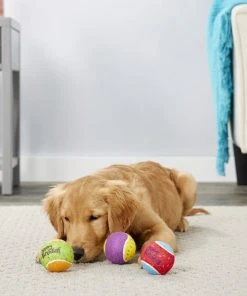 Frisco Fetch Squeaking Birthday Tennis Ball Dog Toy, 3-Pack 8 Frisco Fetch Squeaking Birthday Tennis Ball Dog Toy, 3-Pack -Frisco Sales 2024 162914 PT2. SY630 V1565379548
