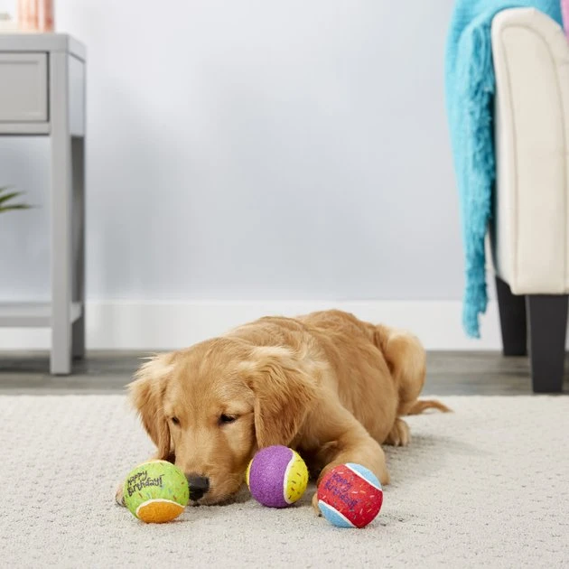 Frisco Fetch Squeaking Birthday Tennis Ball Dog Toy, 3-Pack 5 Frisco Fetch Squeaking Birthday Tennis Ball Dog Toy, 3-Pack - Image 3