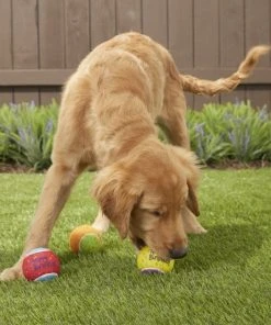 Frisco Fetch Squeaking Birthday Tennis Ball Dog Toy, 3-Pack 9 Frisco Fetch Squeaking Birthday Tennis Ball Dog Toy, 3-Pack -Frisco Sales 2024 162914 PT3. SY630 V1565379541