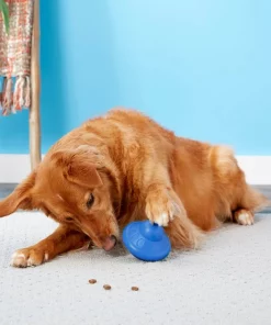 Frisco Rubber Flying Saucer Treat Dispenser Dog Toy 9 Frisco Rubber Flying Saucer Treat Dispenser Dog Toy -Frisco Sales 2024 164757 PT4. SY630 V1604676731