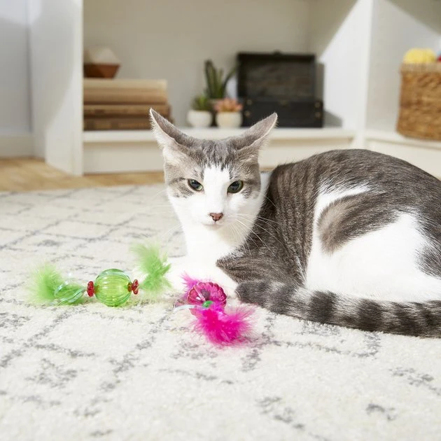 Frisco Paw & Play Feather Ball Cat Toy 5 Frisco Paw & Play Feather Ball Cat Toy - Image 3