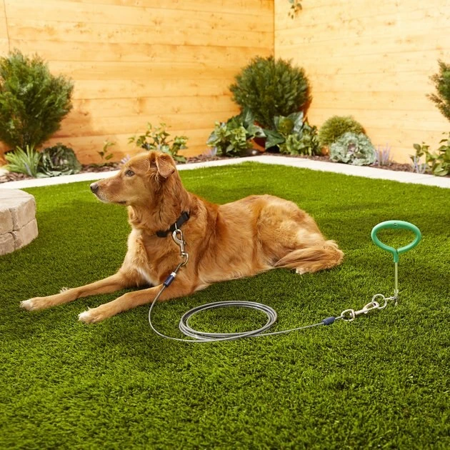 Frisco Tie Out Cable, X-Large 4 Frisco Tie Out Cable, X-Large - Image 2