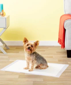 Frisco Dog Training Pads 21 x 21-in, 100 count, Unscented -Frisco Sales 2024 173778 PT5. SY630 V1624488228