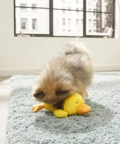 Frisco Plush Squeaky Duck Dog Toy 7 Frisco Plush Squeaky Duck Dog Toy -Frisco Sales 2024 174684 PT2. SY630 V1573492408