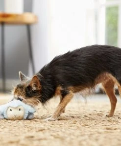 Frisco Plush Squeaking Lamb Dog Toy -Frisco Sales 2024 174686 PT2. SY630 V1573597393