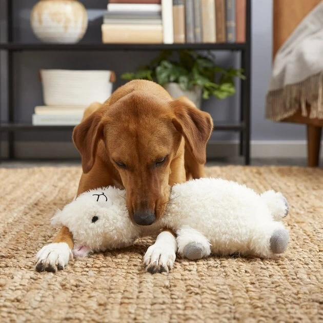 Frisco Bobberz Plush Squeaking Llama Dog Toy 5 Frisco Bobberz Plush Squeaking Llama Dog Toy - Image 3