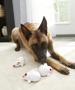 Frisco Hide & Seek Chicken Dog Toy Refills, 3-pack 7 Frisco Hide & Seek Chicken Dog Toy Refills, 3-pack -Frisco Sales 2024 174764 PT2. SY630 V1574271542