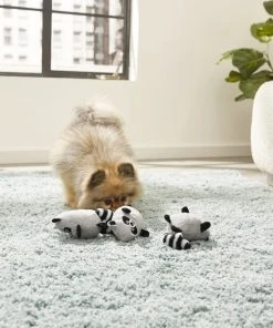 Frisco Hide & Seek Raccoon Dog Toy Refills, 3-pack 7 Frisco Hide & Seek Raccoon Dog Toy Refills, 3-pack -Frisco Sales 2024 174766 PT2. SY630 V1573492789