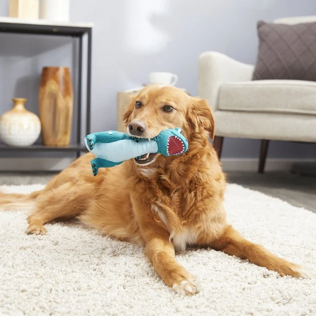 Frisco Latex Squeaky Dinosaur Dog Toy Frisco Latex Squeaky Dinosaur Dog Toy -Frisco Sales 2024 174770 PT2. SY630 V1573492793