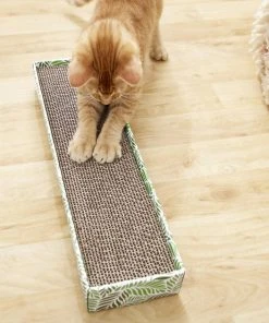 Frisco Single-Wide Cat Scratcher Toy with Catnip 7 Frisco Single-Wide Cat Scratcher Toy with Catnip -Frisco Sales 2024 174795 PT2. SY630 V1571760524