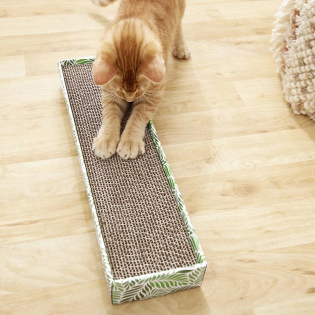 Frisco Single-Wide Cat Scratcher Toy with Catnip 5 Frisco Single-Wide Cat Scratcher Toy with Catnip - Image 3