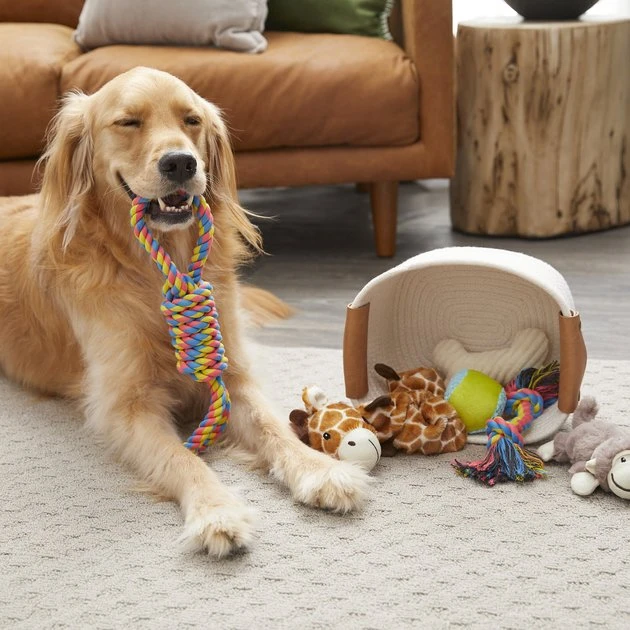 Frisco Plush & Rope Bundle Dog Toy, 6-Pack 4 Frisco Plush & Rope Bundle Dog Toy, 6-Pack - Image 2